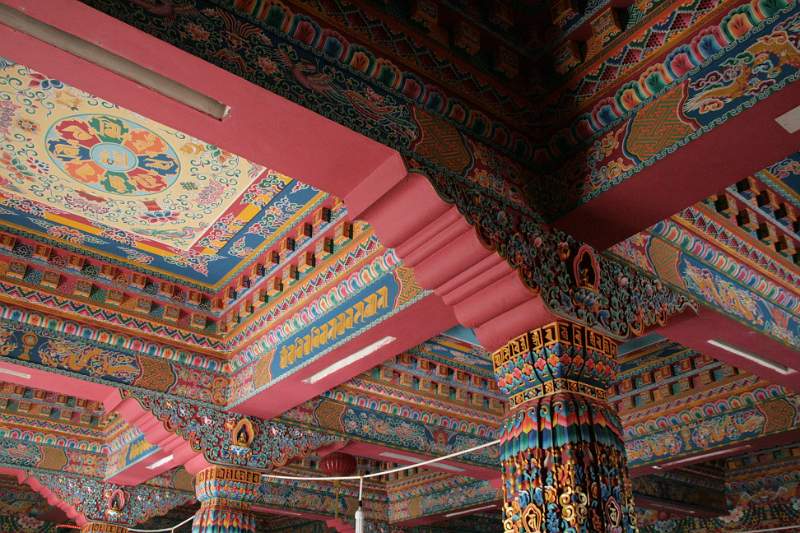 India & Nepal 2011 - 0458